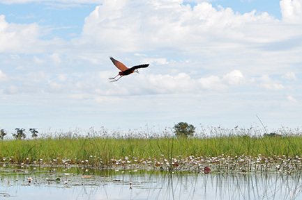 Botswana