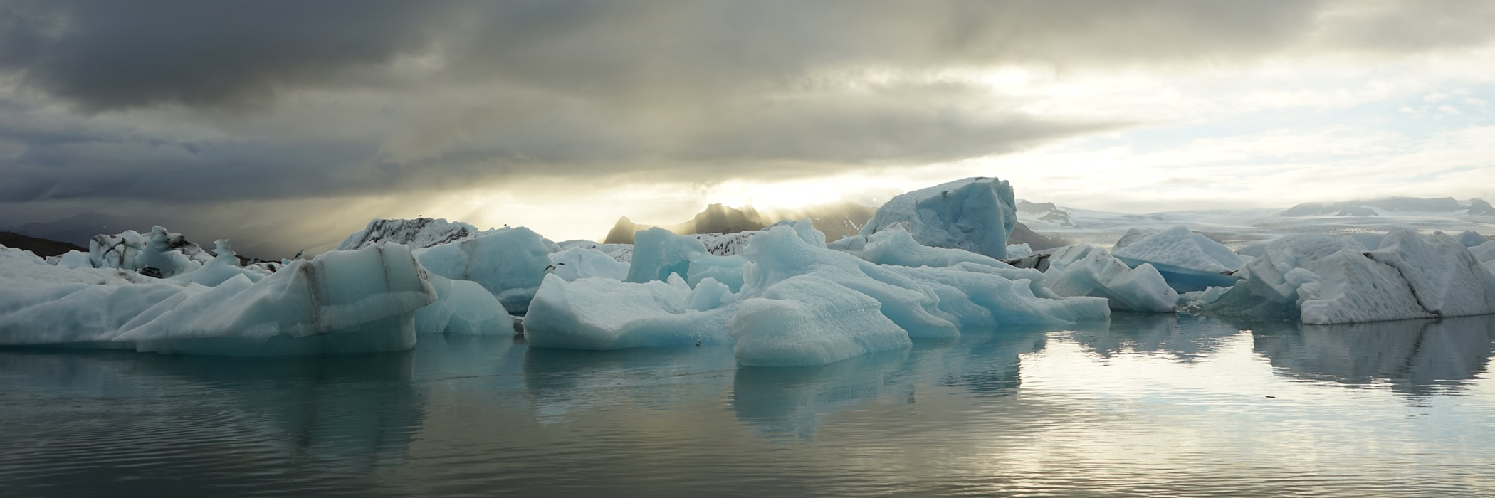 Arctic