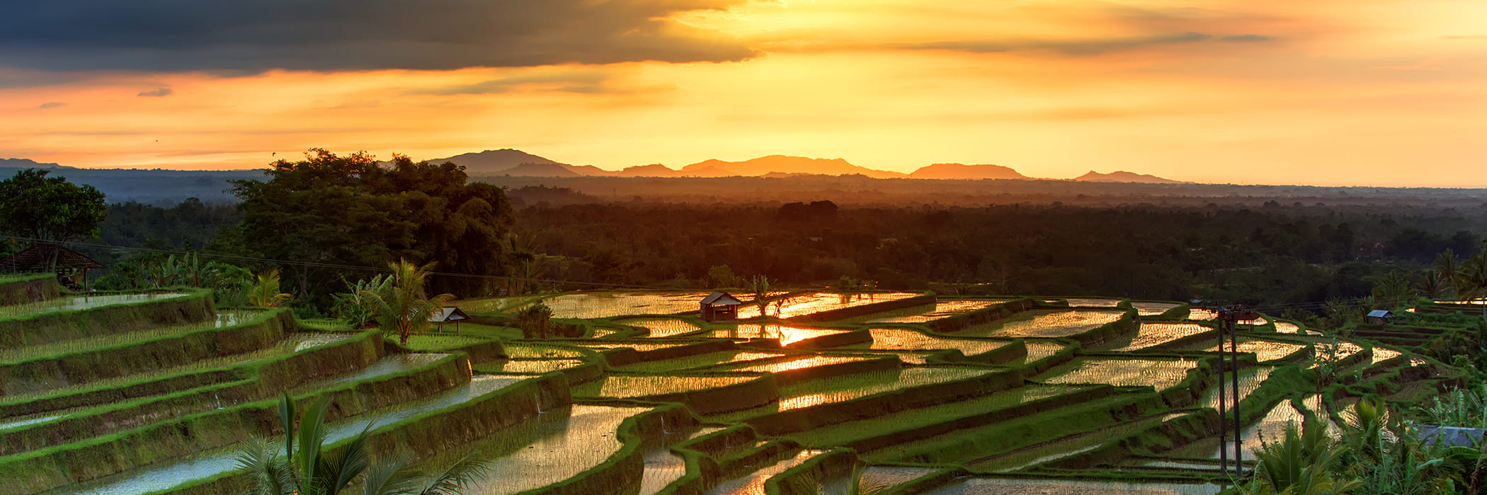 Bali