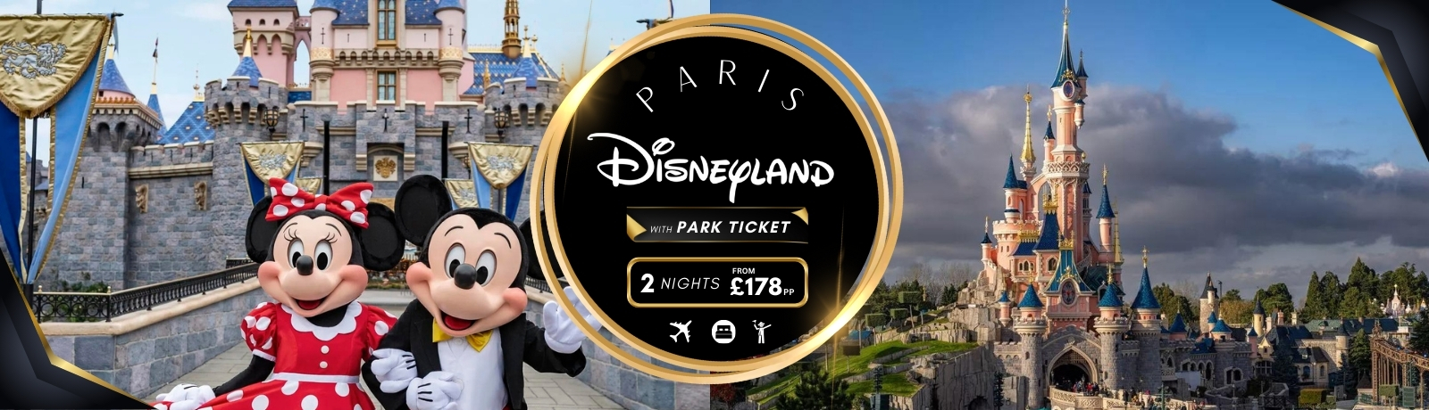 Disneyland With Park Ticket